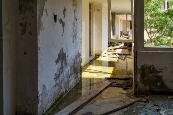 Cost of Water Removal Service in Waldorf